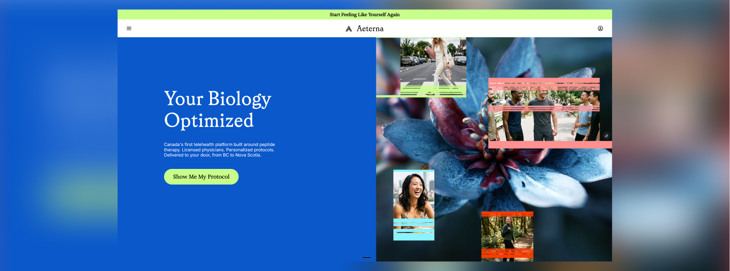 Aeterna home page hero