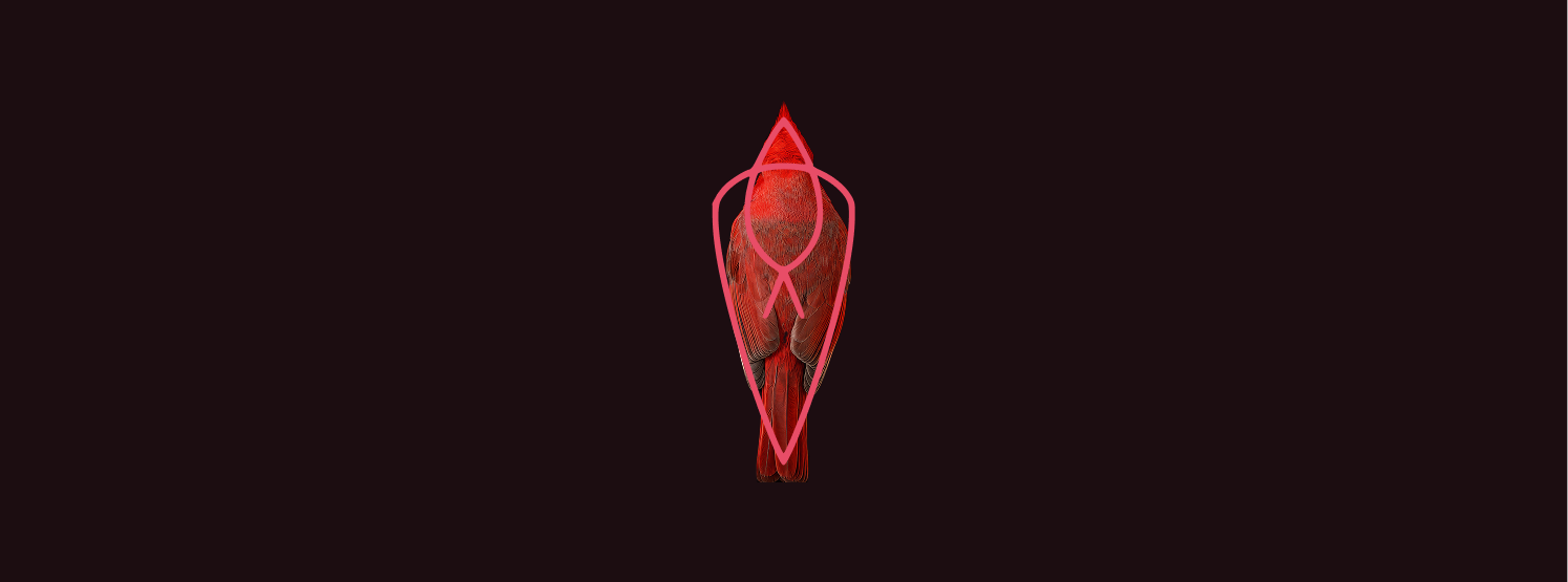 Cardinal AI brand identity — frame 2