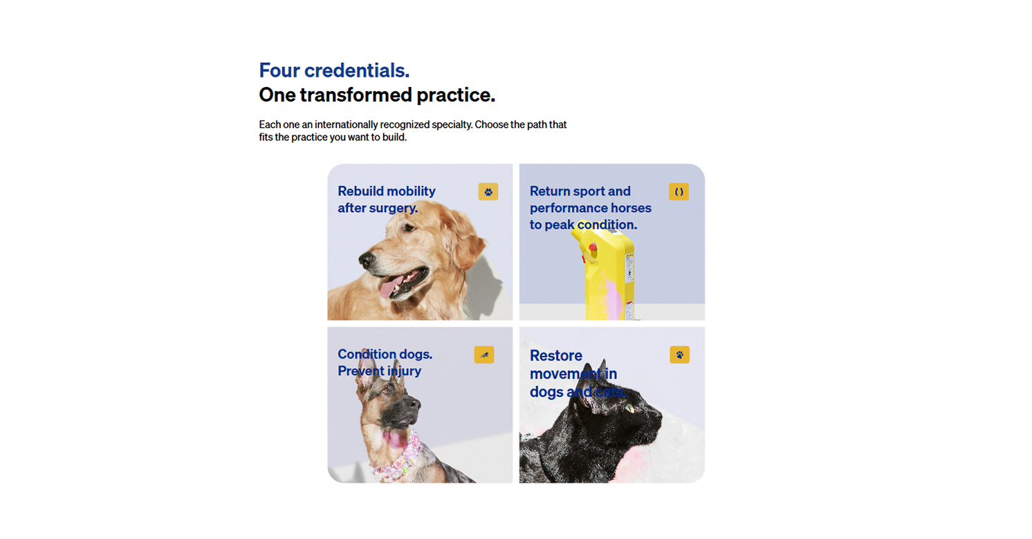 Vahl website — programs